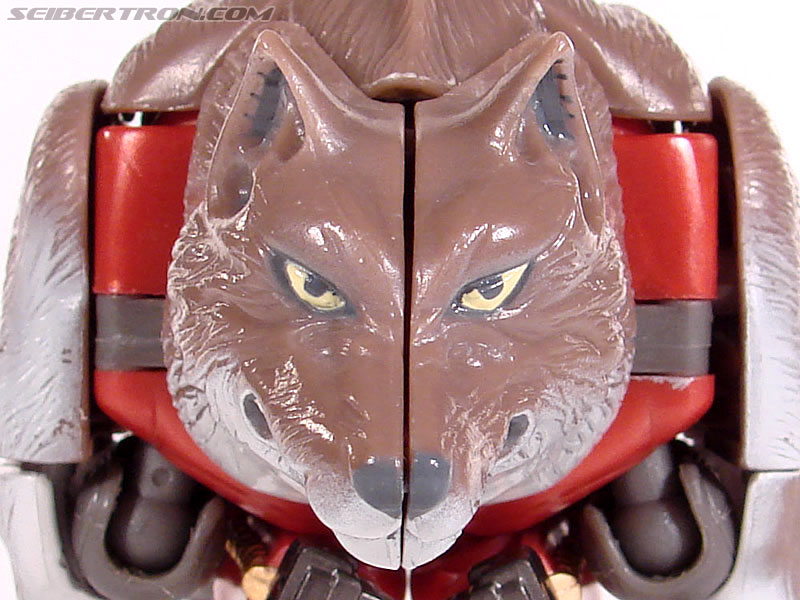 Transformers Beast Wars Telemocha Series Wolfang (Reissue) (Image #22 of 128)