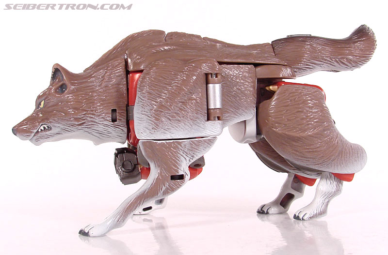 Transformers Beast Wars Telemocha Series Wolfang (Reissue) (Image #32 of 128)