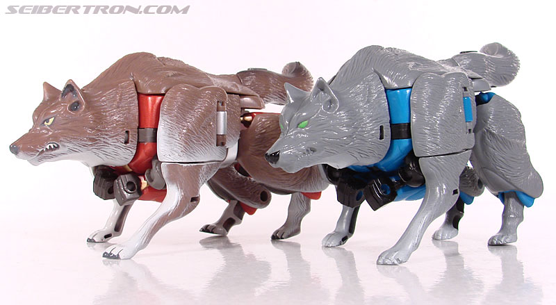 Transformers Beast Wars Telemocha Series Wolfang (Reissue) (Image #46 of 128)