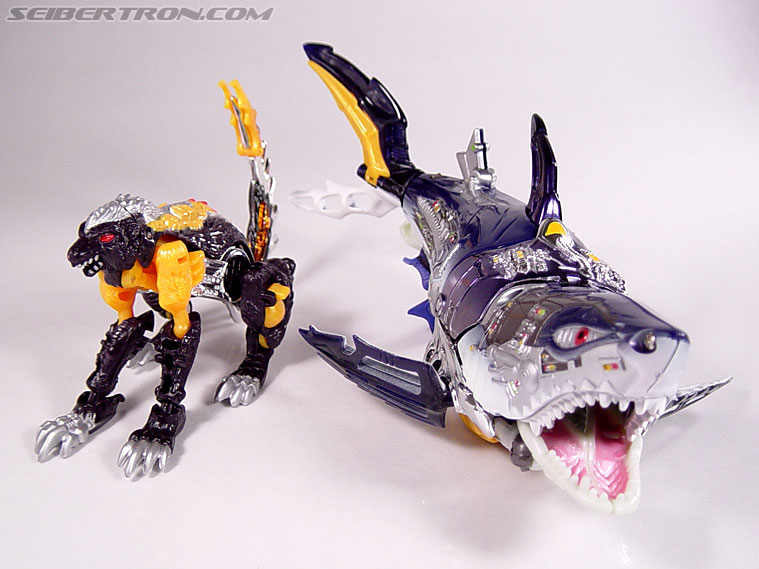 Transformers Robots In Disguise Sky-Byte (Gelshark) (Image #43 of 105)