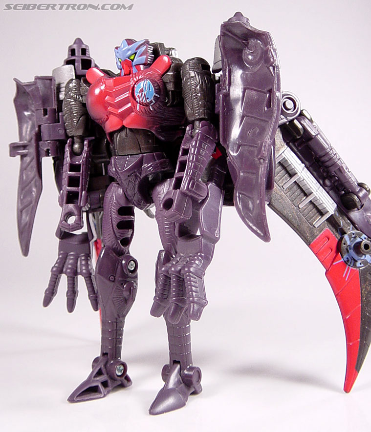 Transformers Armada Airazor (Image #64 of 92)
