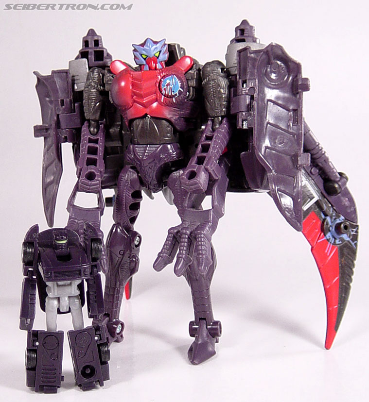 Transformers Armada Airazor (Image #87 of 92)