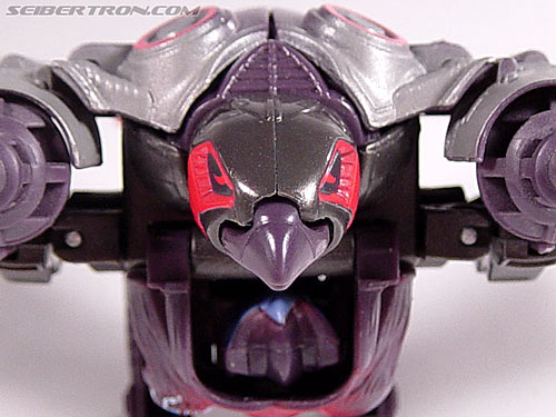 Transformers Armada Airazor (Image #2 of 92)