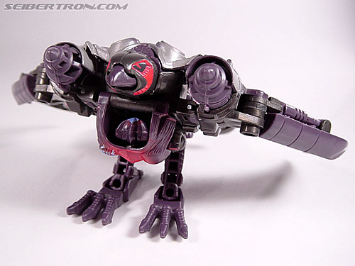 Transformers Armada Airazor (Image #19 of 92)