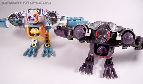 Transformers Armada Airazor (Image #21 of 92)