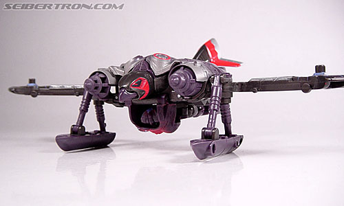 Transformers Armada Airazor (Image #44 of 92)