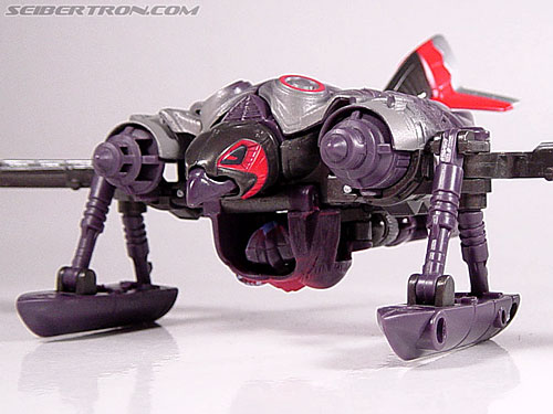 Transformers Armada Airazor (Image #45 of 92)