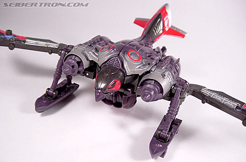 Transformers Armada Airazor (Image #47 of 92)