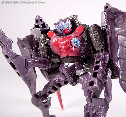 Transformers Armada Airazor (Image #67 of 92)