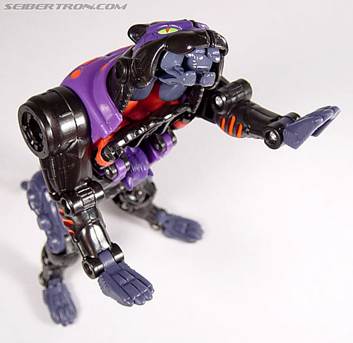 Transformers Armada Cheetor (Image #27 of 87)