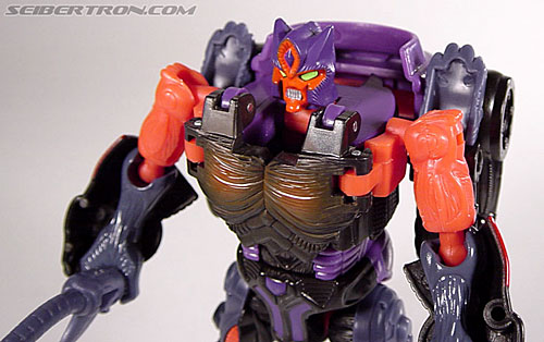 Transformers Armada Cheetor (Image #59 of 87)