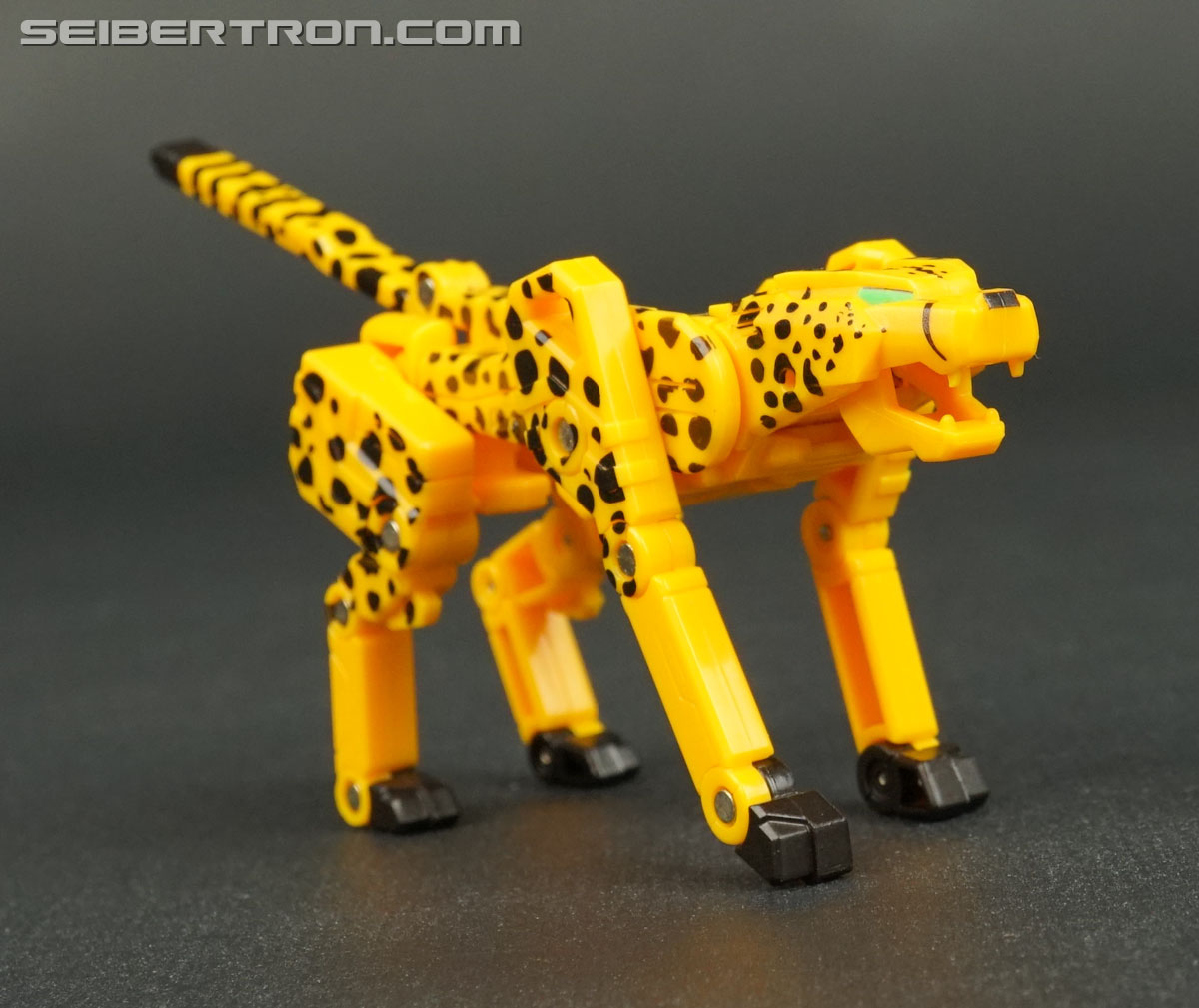 Transformers Device Label Cheetor (Cheetus) (Image #42 of 96)