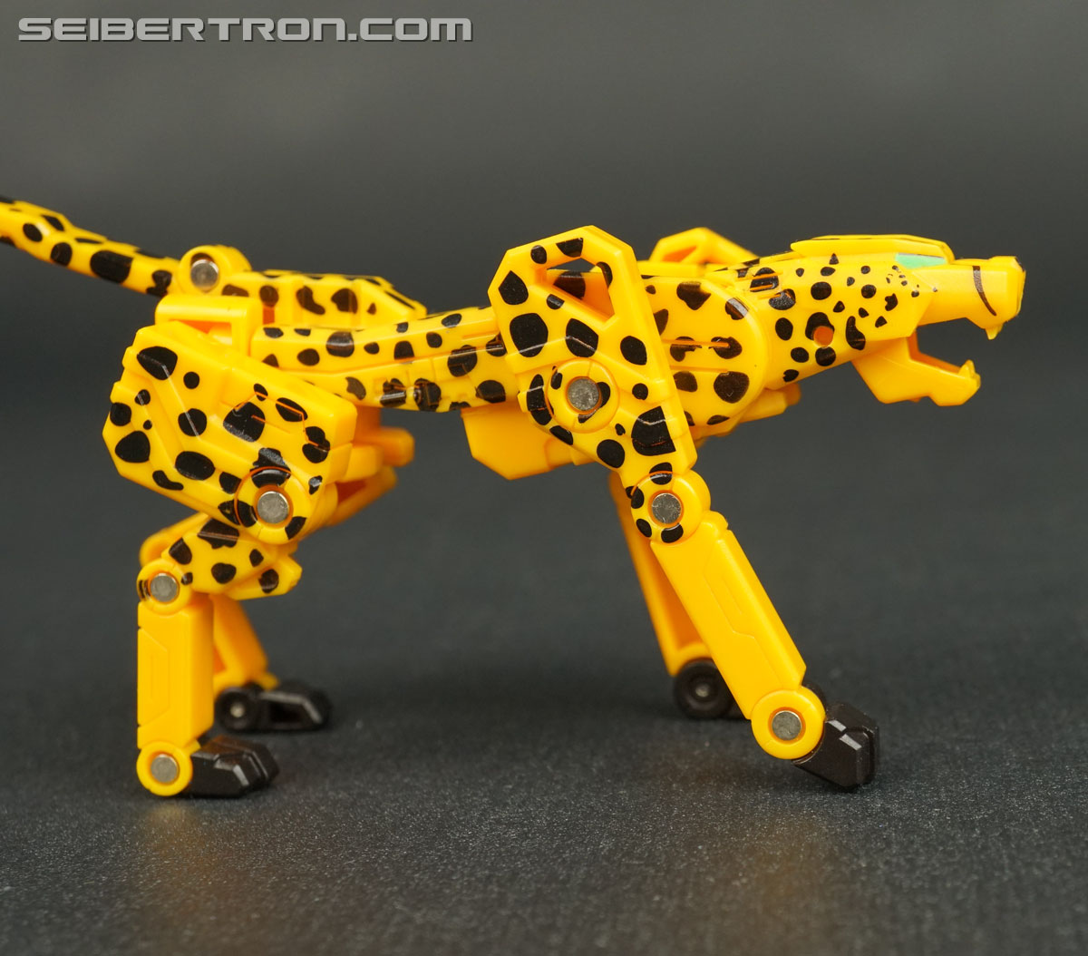 Transformers Device Label Cheetor (Cheetus) (Image #46 of 96)