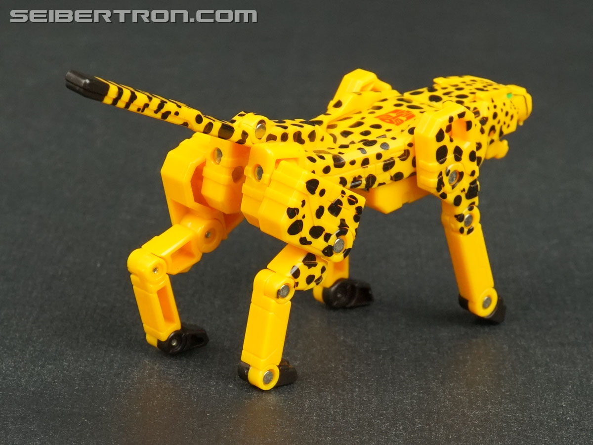 Transformers Device Label Cheetor (Cheetus) (Image #51 of 96)