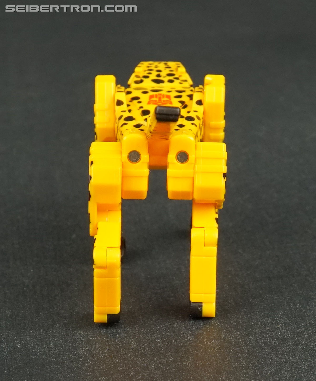 Transformers Device Label Cheetor (Cheetus) (Image #52 of 96)