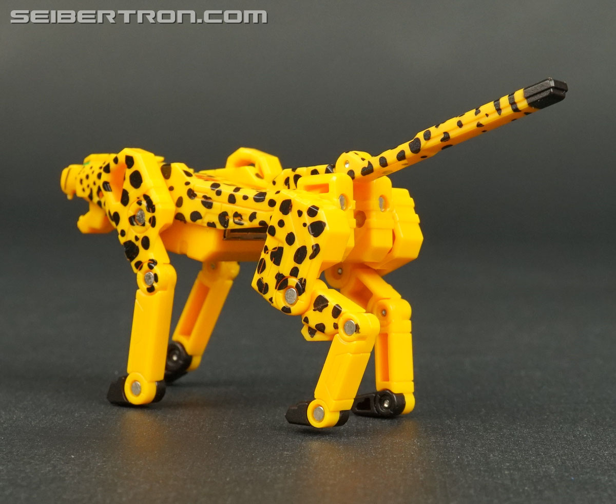 Transformers Device Label Cheetor (Cheetus) (Image #54 of 96)