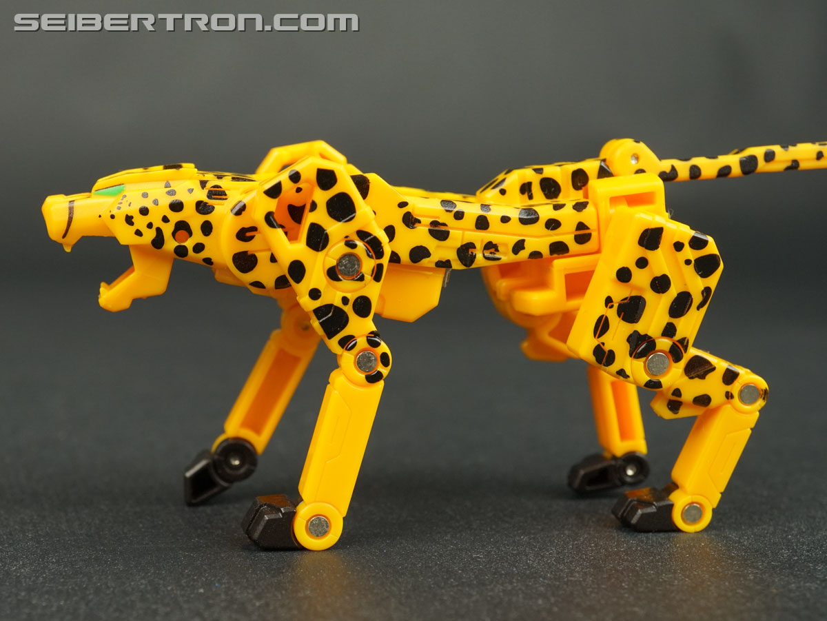 Transformers Device Label Cheetor (Cheetus) (Image #56 of 96)