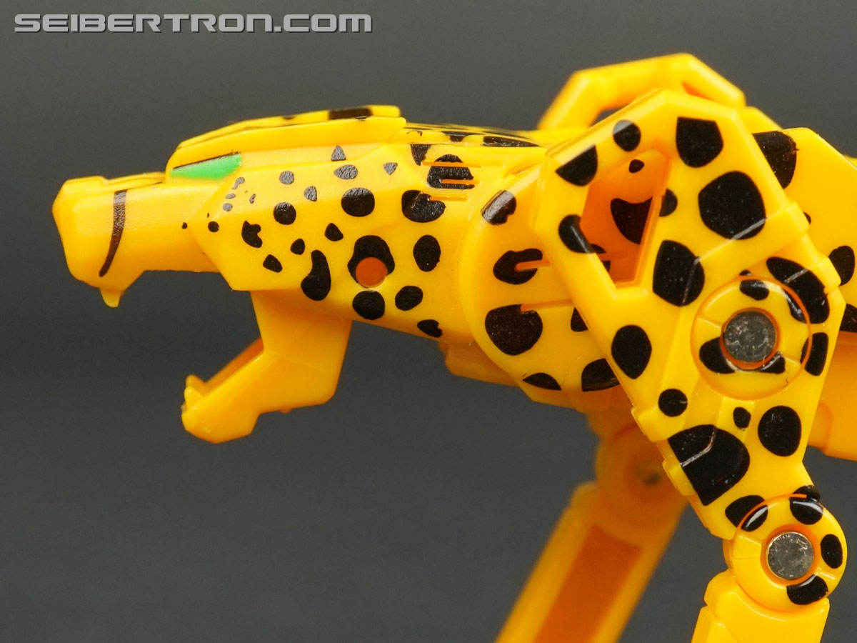 Transformers Device Label Cheetor (Cheetus) (Image #57 of 96)