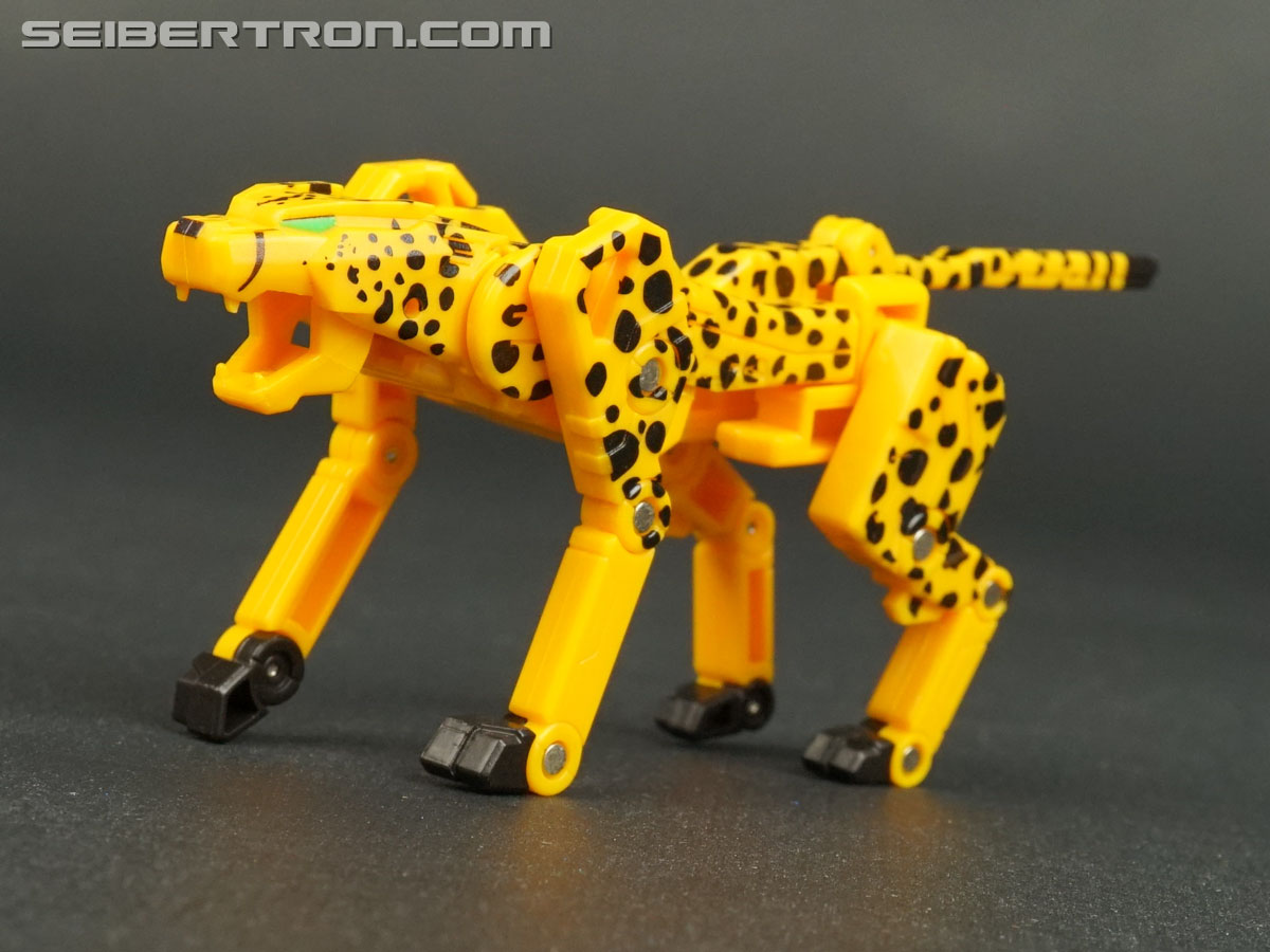 Transformers Device Label Cheetor (Cheetus) (Image #58 of 96)