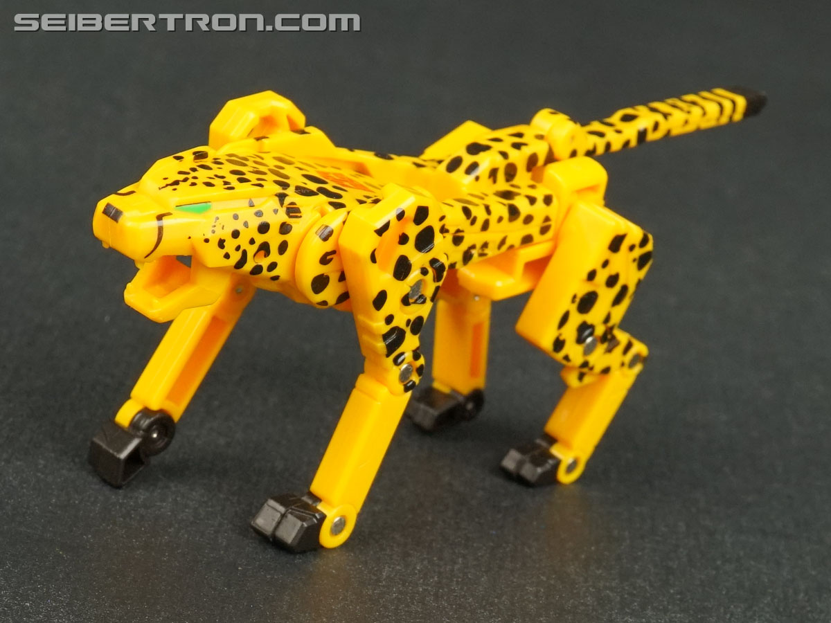 Transformers Device Label Cheetor (Cheetus) (Image #59 of 96)