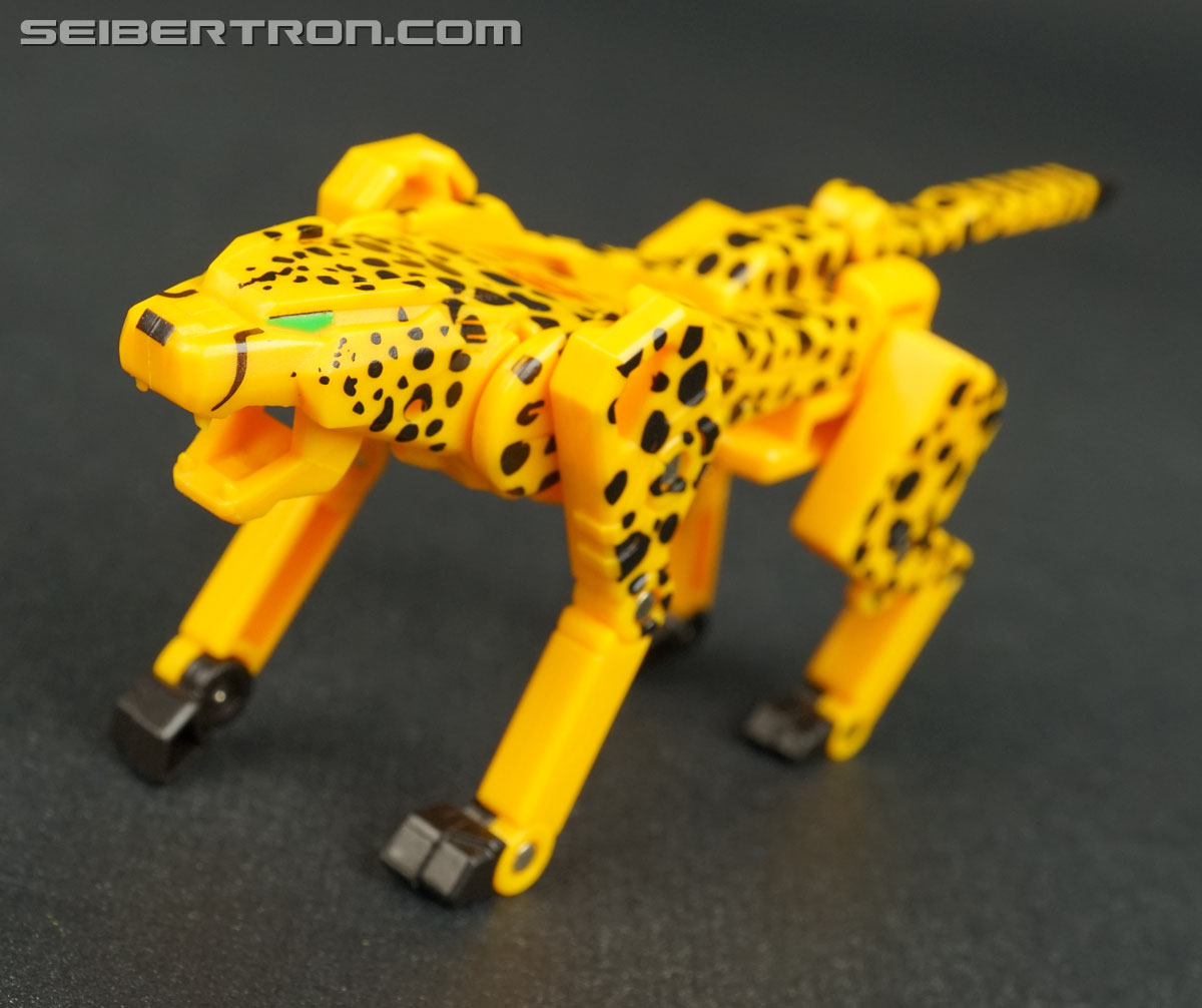 Transformers Device Label Cheetor (Cheetus) (Image #60 of 96)