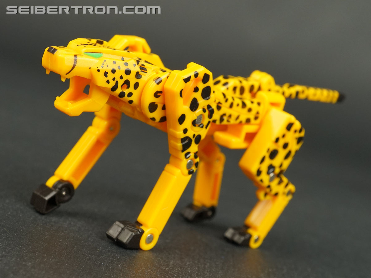 Transformers Device Label Cheetor (Cheetus) (Image #62 of 96)