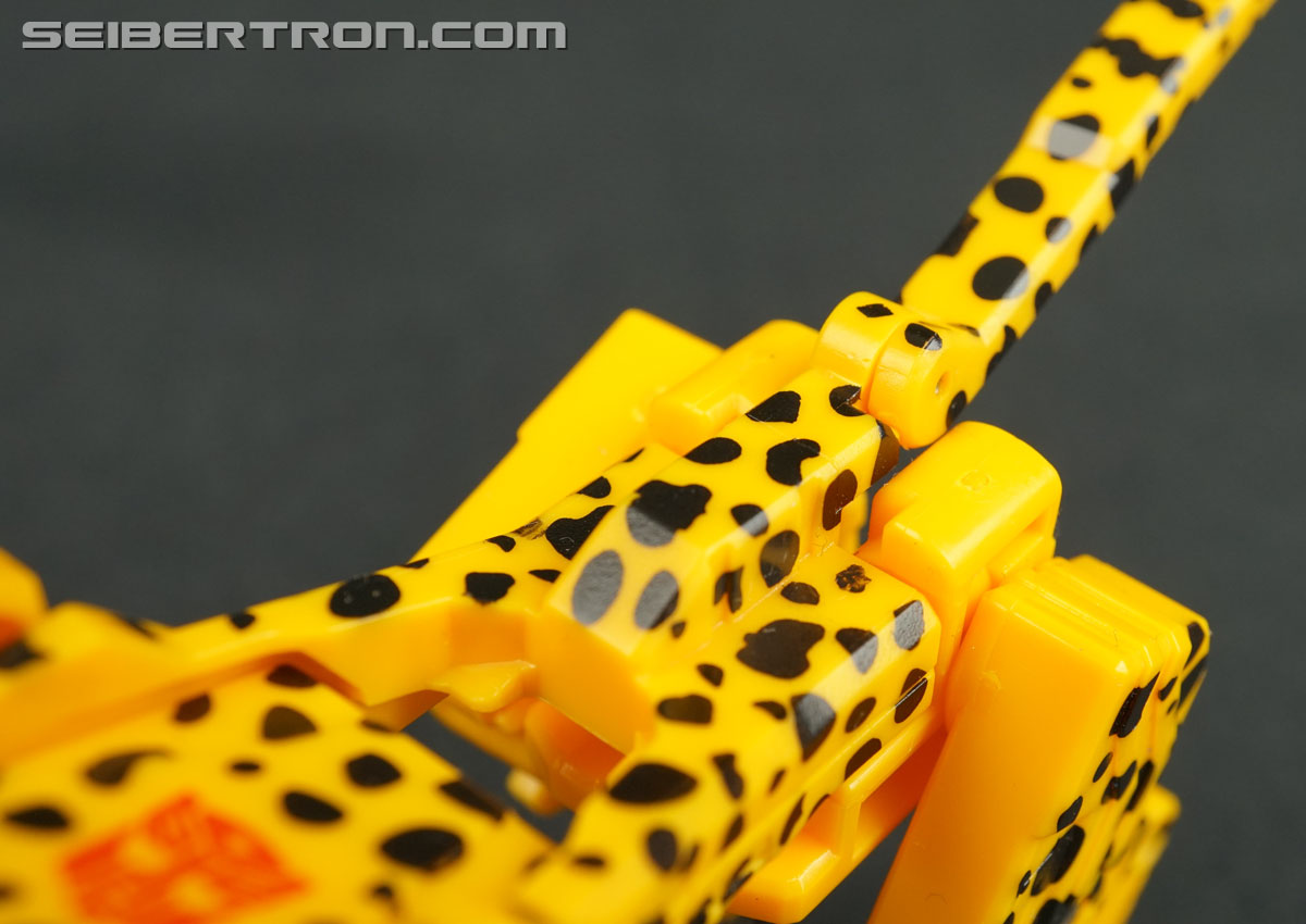 Transformers Device Label Cheetor (Cheetus) (Image #65 of 96)