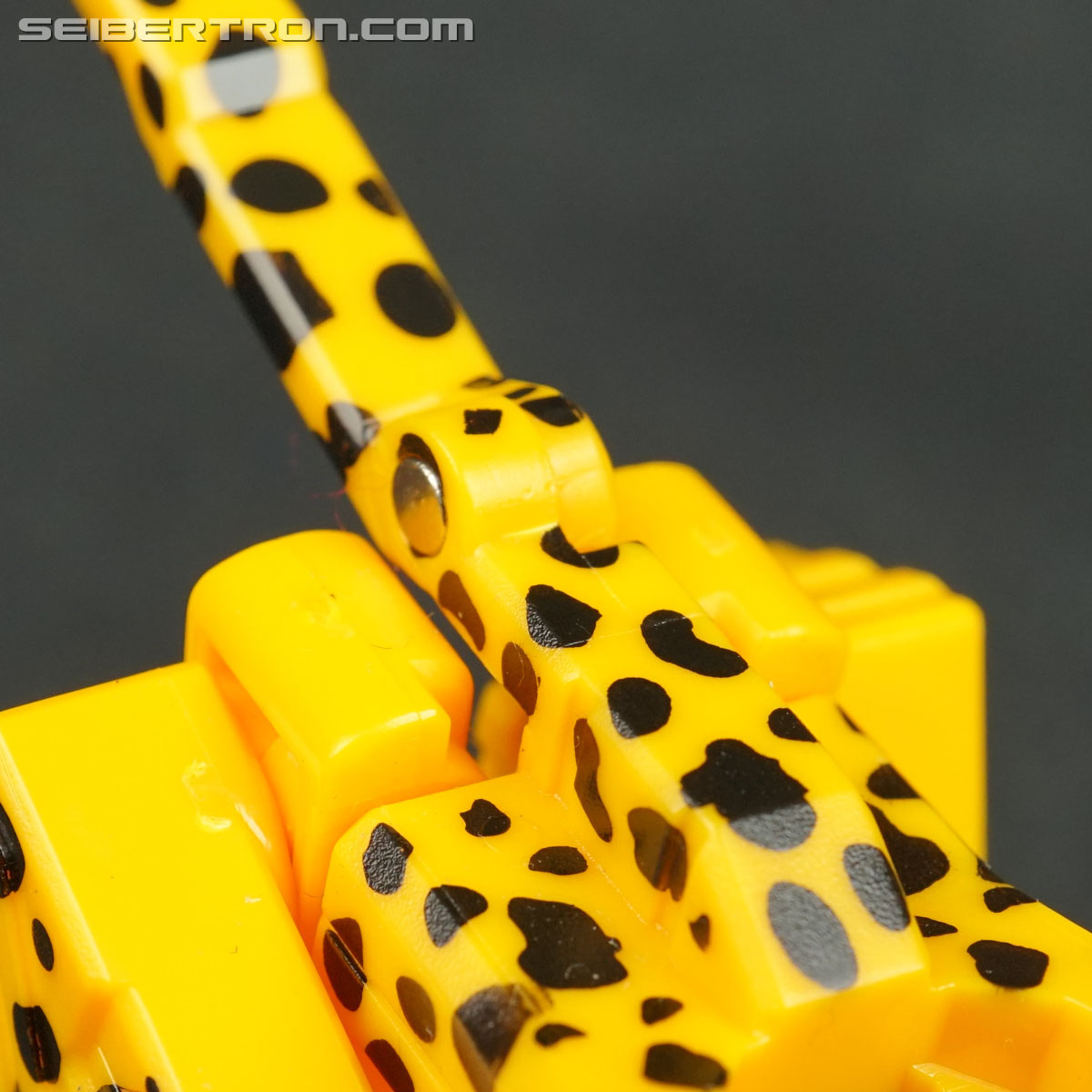 Transformers Device Label Cheetor (Cheetus) (Image #67 of 96)
