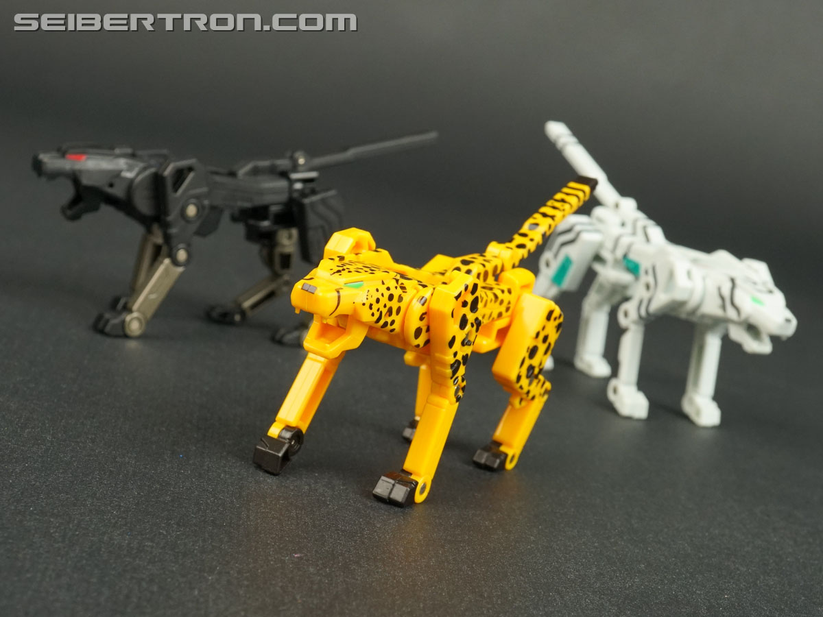 Transformers Device Label Cheetor (Cheetus) (Image #70 of 96)