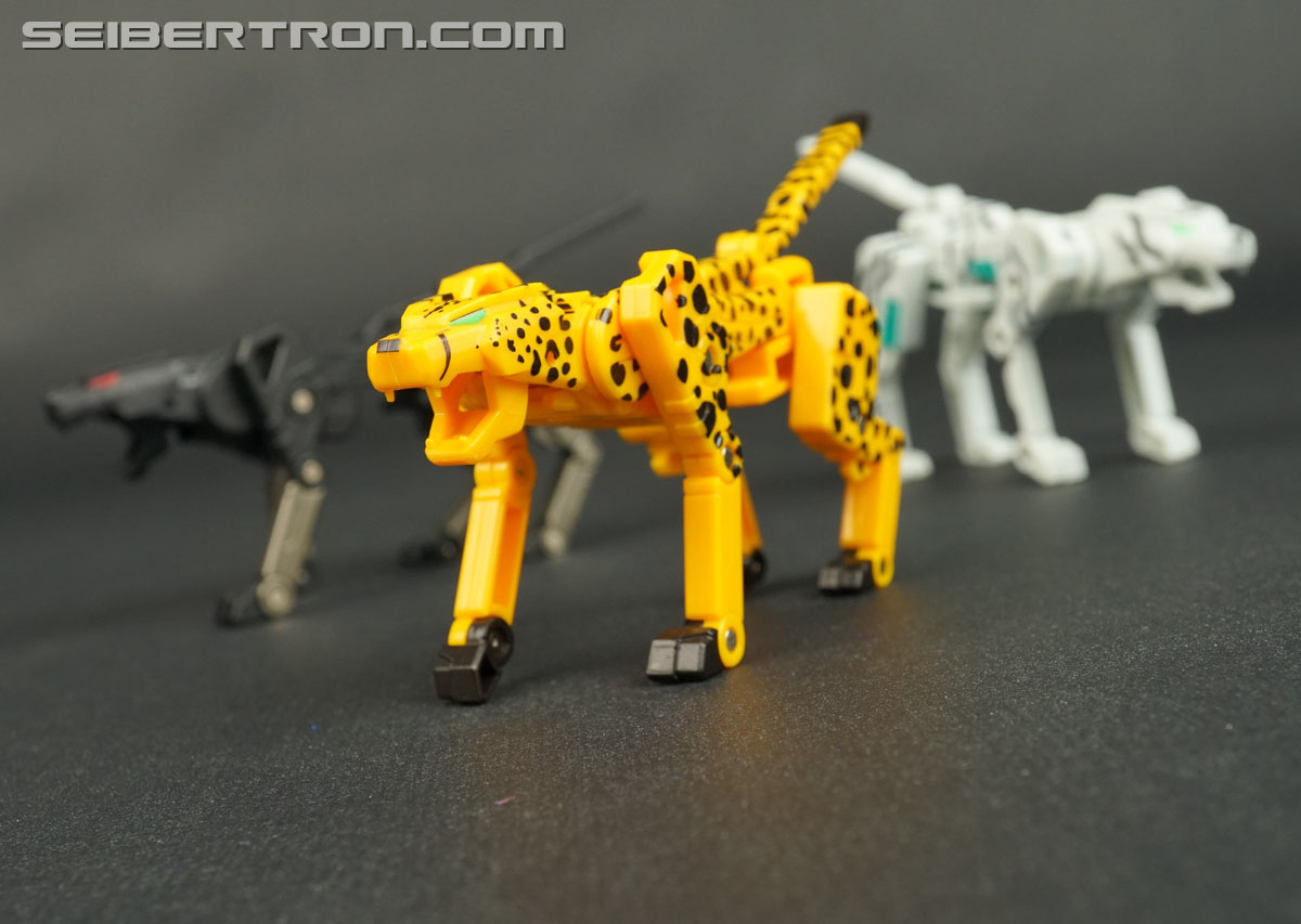Transformers Device Label Cheetor (Cheetus) (Image #71 of 96)