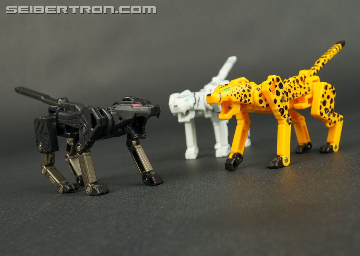 Transformers Device Label Cheetor (Cheetus) (Image #75 of 96)