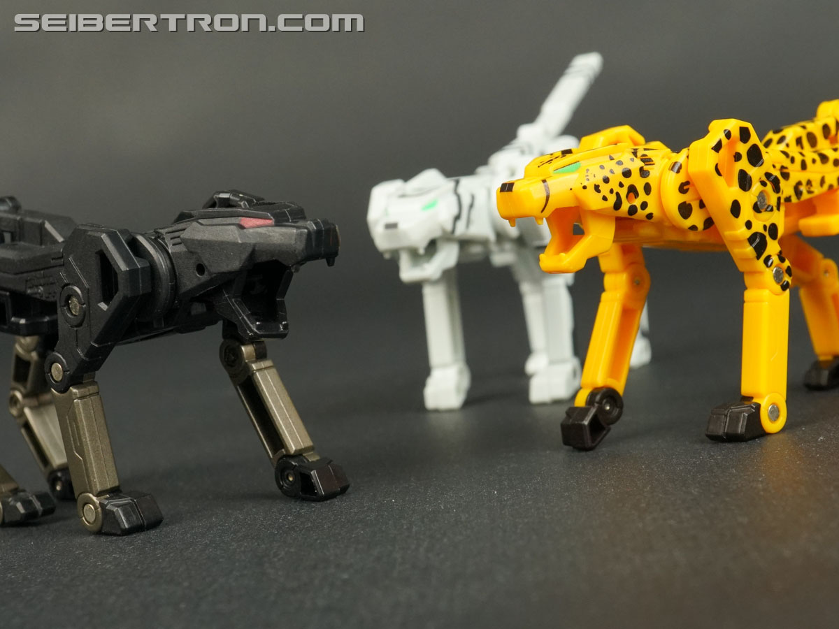 Transformers Device Label Cheetor (Cheetus) (Image #76 of 96)