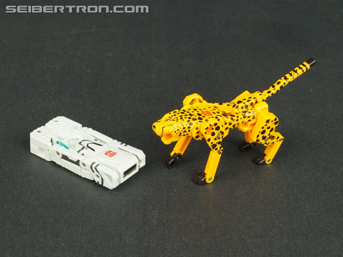 Transformers Device Label Cheetor (Cheetus) (Image #77 of 96)
