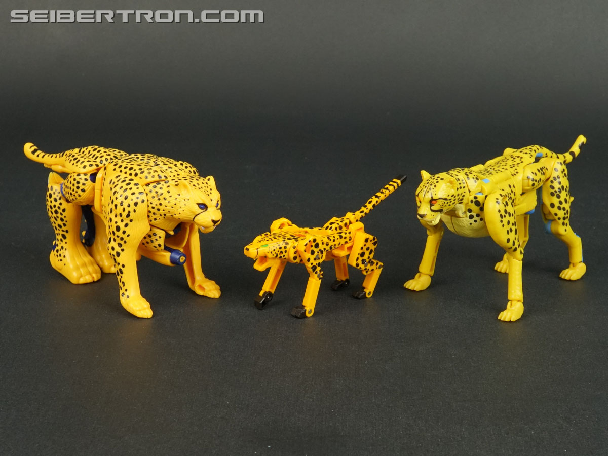 Transformers Device Label Cheetor (Cheetus) (Image #86 of 96)