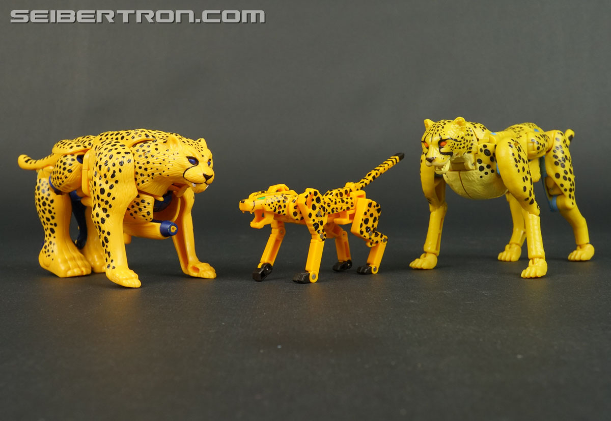 Transformers Device Label Cheetor (Cheetus) (Image #87 of 96)