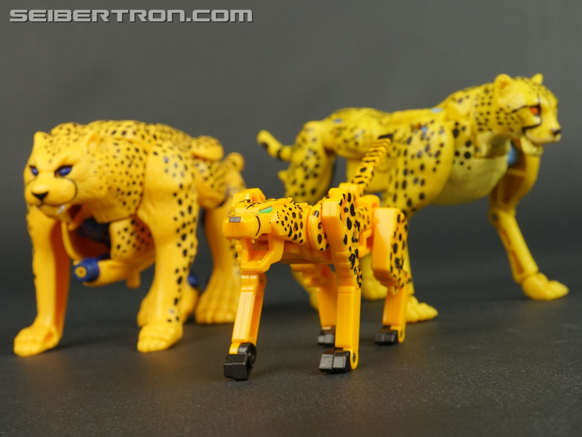Transformers Device Label Cheetor (Cheetus) (Image #88 of 96)