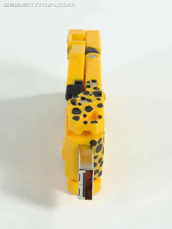 Transformers Device Label Cheetor (Cheetus) (Image #26 of 96)