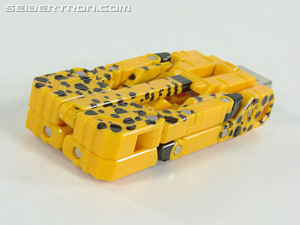 Transformers Device Label Cheetor (Cheetus) (Image #34 of 96)