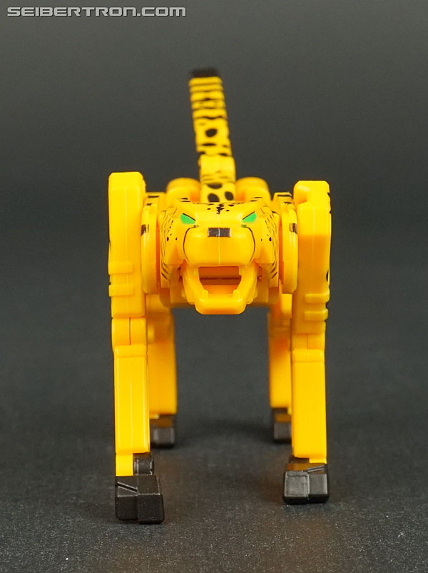 Transformers Device Label Cheetor (Cheetus) (Image #38 of 96)