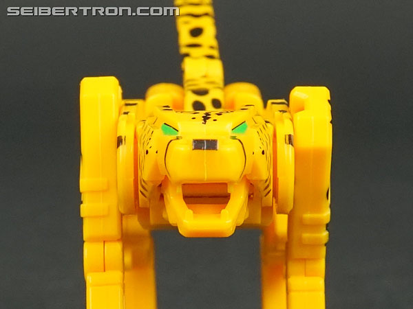 Transformers Device Label Cheetor (Cheetus) (Image #39 of 96)