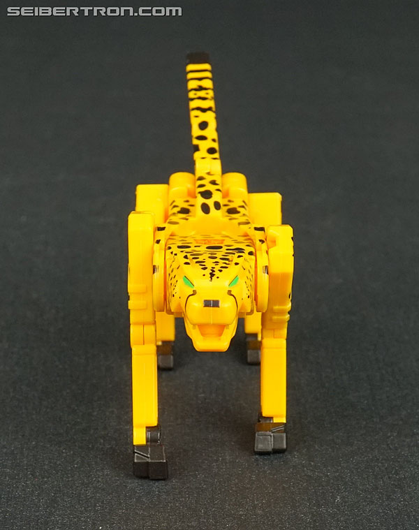 Transformers Device Label Cheetor (Cheetus) (Image #40 of 96)