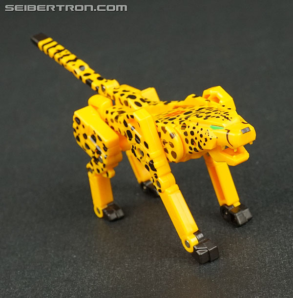 Transformers Device Label Cheetor (Cheetus) (Image #41 of 96)