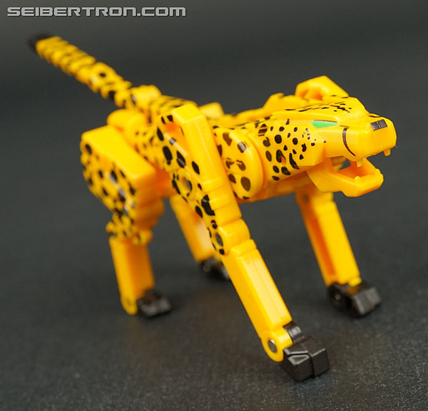 Transformers Device Label Cheetor (Cheetus) (Image #43 of 96)