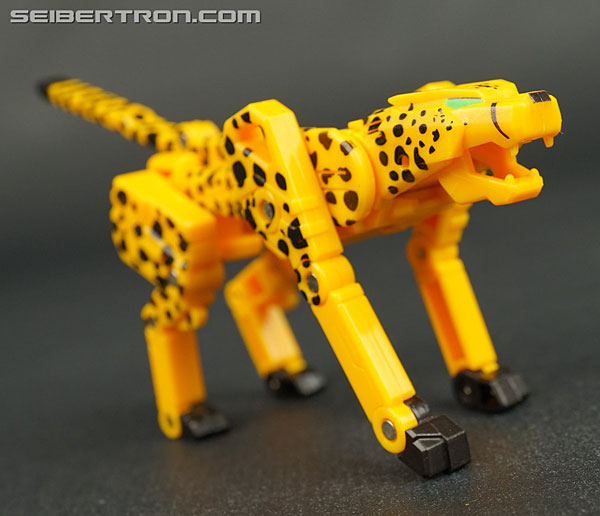 Transformers Device Label Cheetor (Cheetus) (Image #44 of 96)