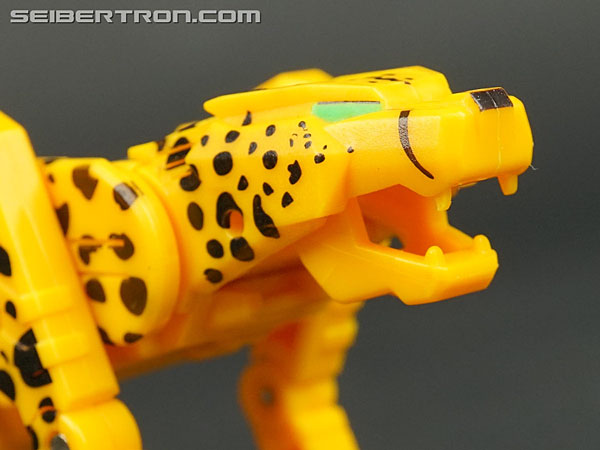 Transformers Device Label Cheetor (Cheetus) (Image #45 of 96)