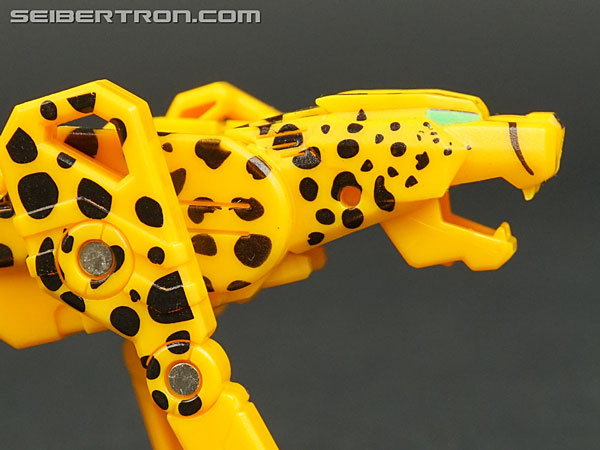 Transformers Device Label Cheetor (Cheetus) (Image #47 of 96)