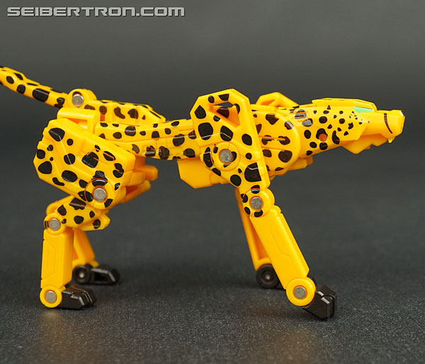 Transformers Device Label Cheetor (Cheetus) (Image #48 of 96)