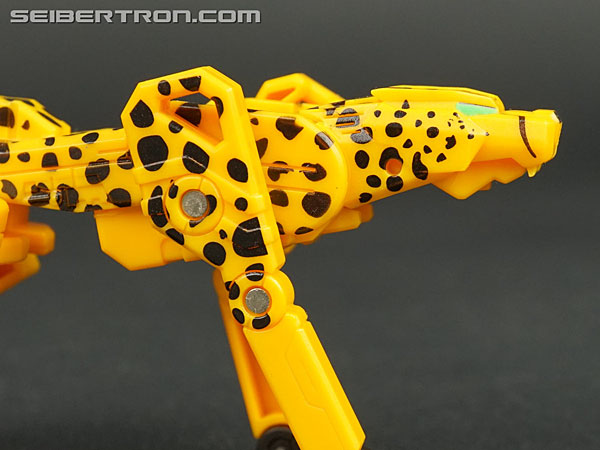Transformers Device Label Cheetor (Cheetus) (Image #49 of 96)