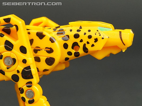 Transformers Device Label Cheetor (Cheetus) (Image #50 of 96)