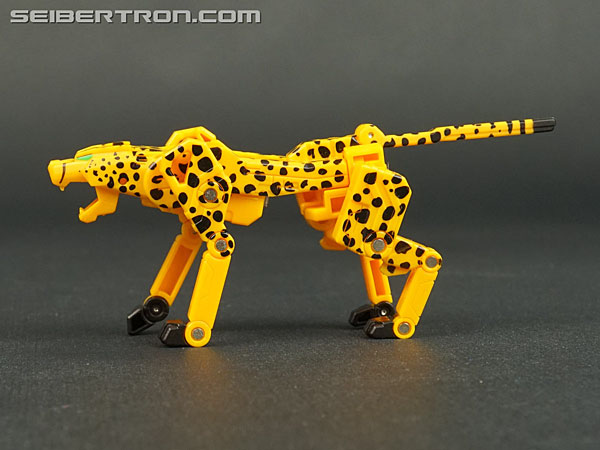 Transformers Device Label Cheetor (Cheetus) (Image #55 of 96)